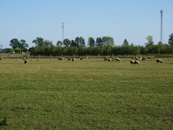 Domek Na Wsi-Agroturystyka Czyze Luaran gambar